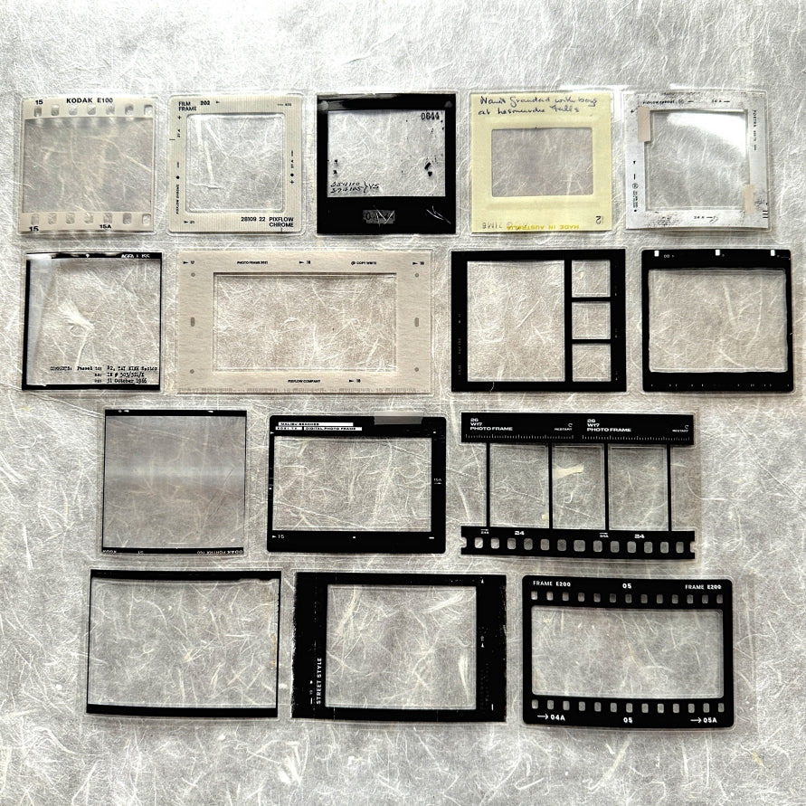 Two Raccoons - film frames kiss-cut PET tape SAMPLES