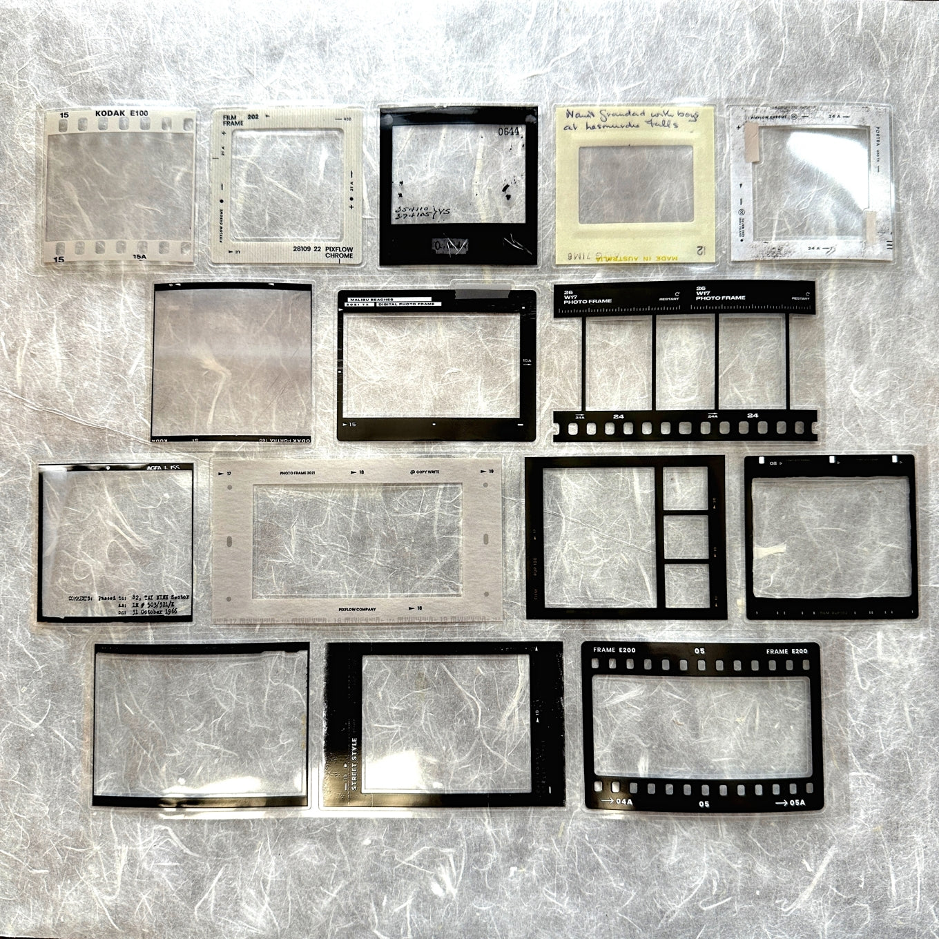 Two Raccoons - film frames kiss-cut PET tape SAMPLES