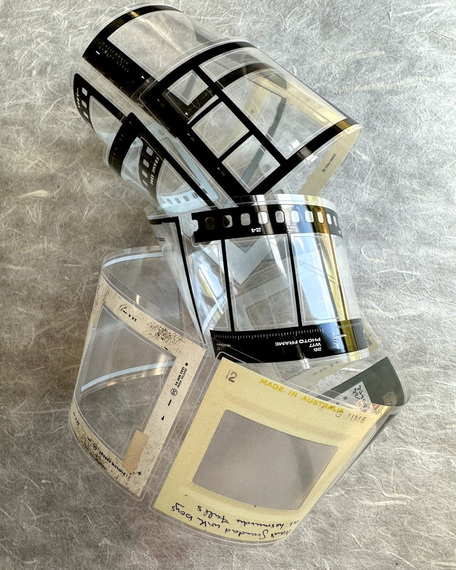 Two Raccoons - film frames kiss-cut PET tape SAMPLES