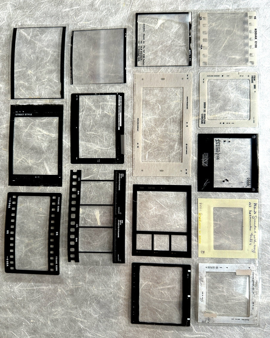 Two Raccoons - film frames kiss-cut PET tape SAMPLES