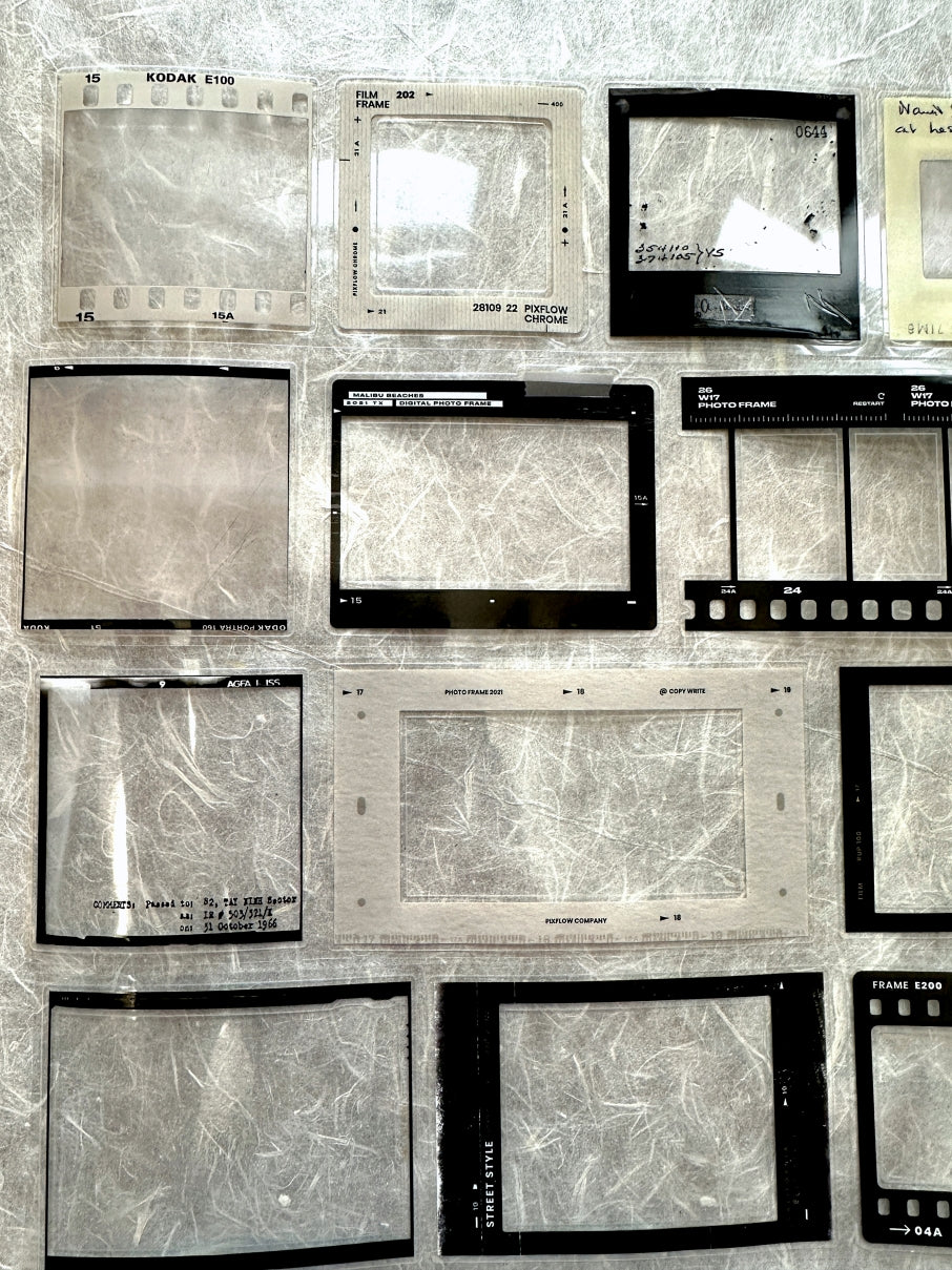 Two Raccoons - film frames kiss-cut PET tape SAMPLES