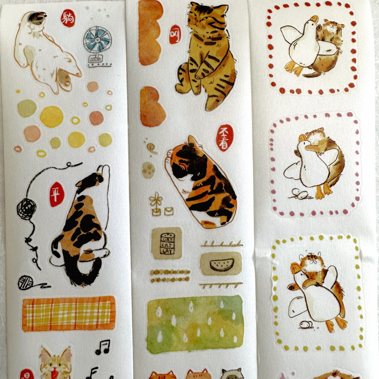Two Raccoons x Cyan - Miao Miao Miao kiss-cut washi tape SAMPLES