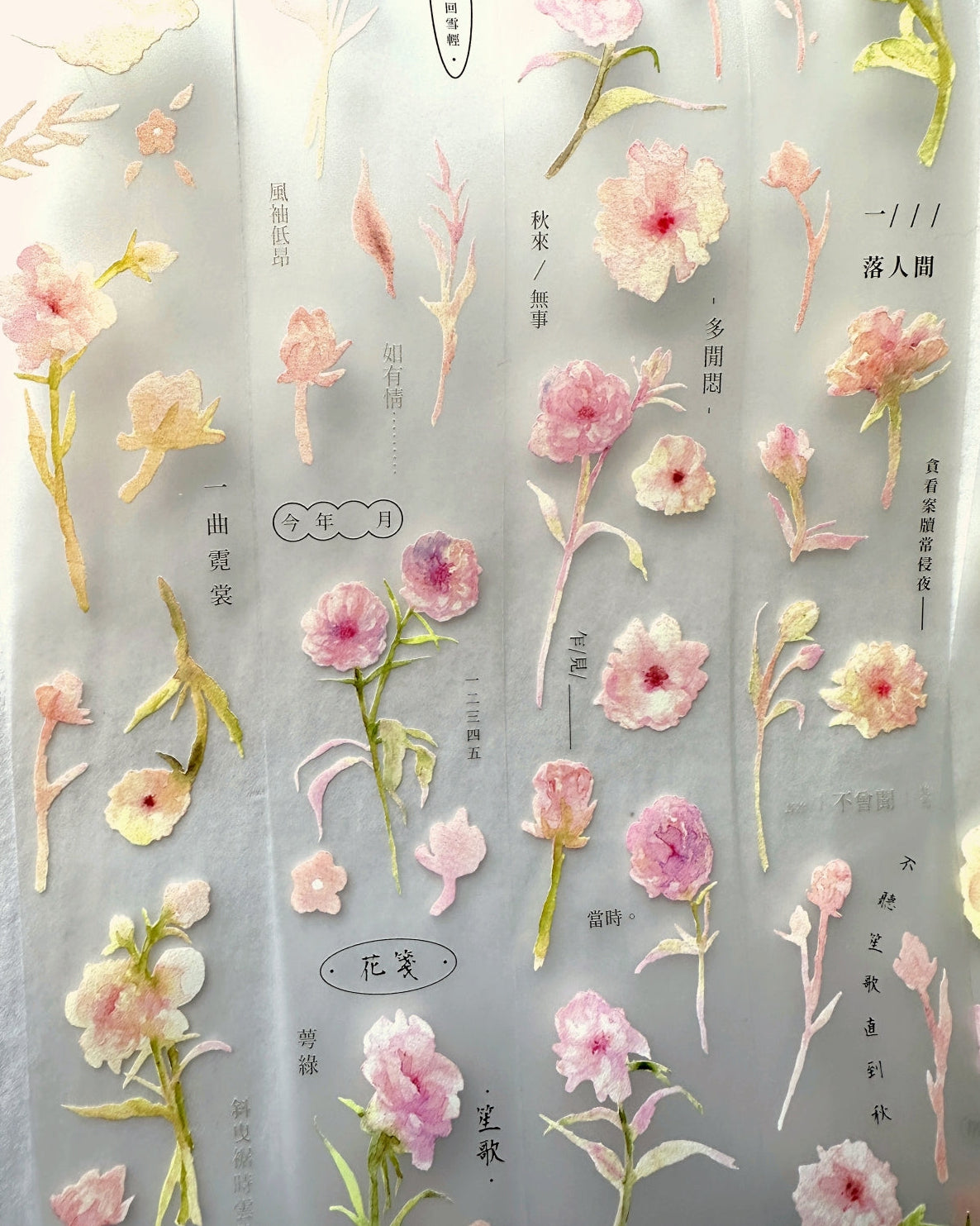 Ursulaloft - The Fairy Butterfly Ranunculus PET tape (4 cm x 170 cm) SAMPLES
