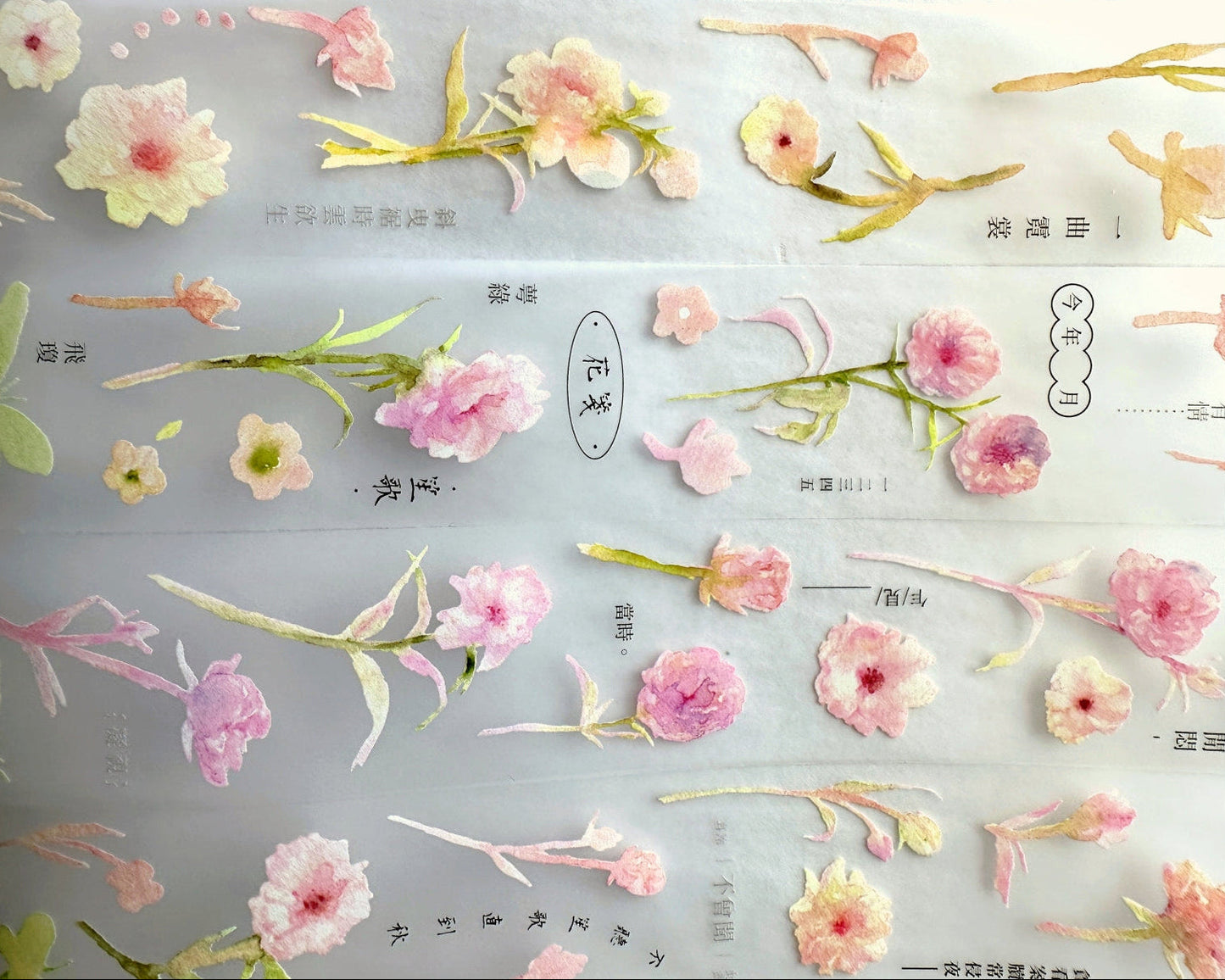 Ursulaloft - The Fairy Butterfly Ranunculus PET tape (4 cm x 170 cm) SAMPLES