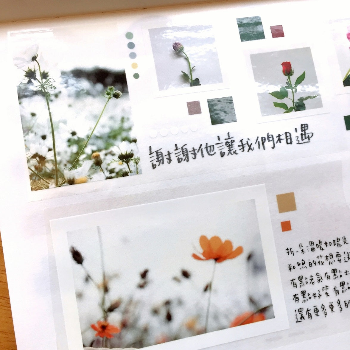 Urtapeprint x dddeer2014 - Winter Whisper PET tape SAMPLES