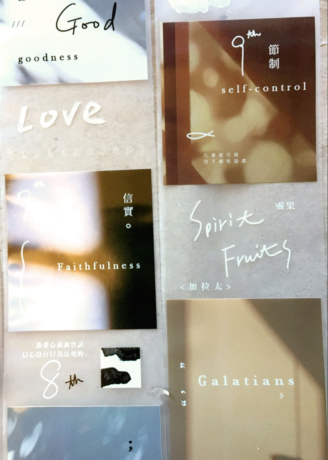 Urtapeprint x Leila - Fruit of the Spirit PET tape SAMPLES