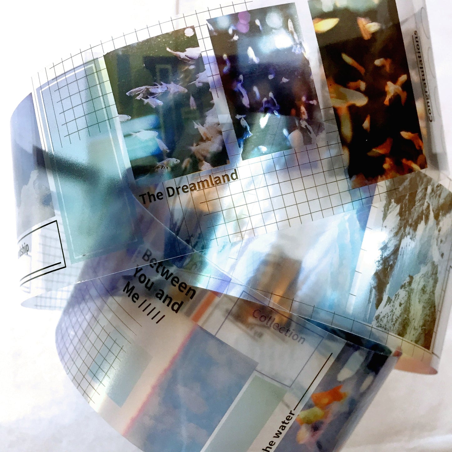 Urtapeprint x all tomorrow's party - Dreamland PET tape SAMPLES