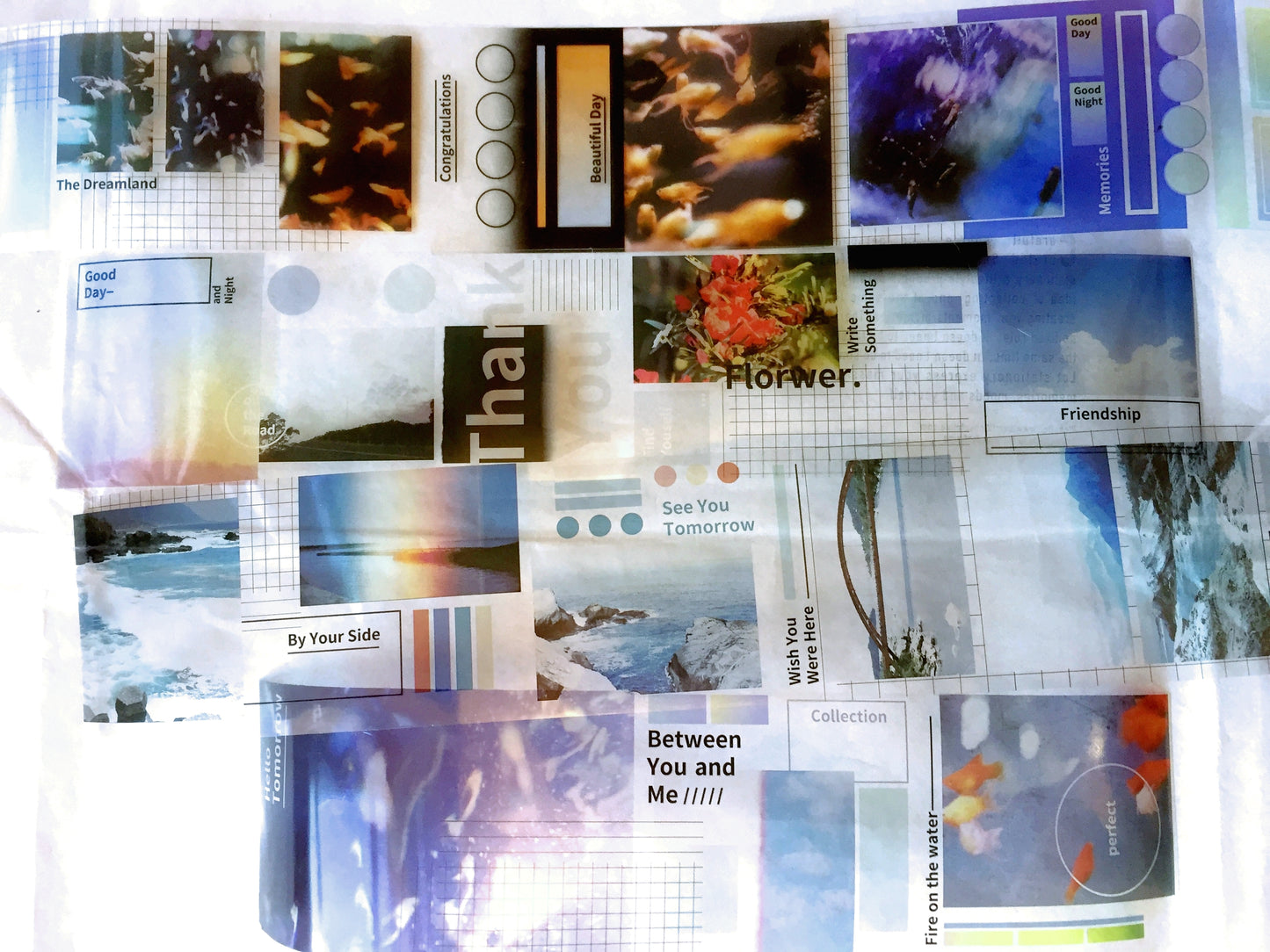 Urtapeprint x all tomorrow's party - Dreamland PET tape SAMPLES