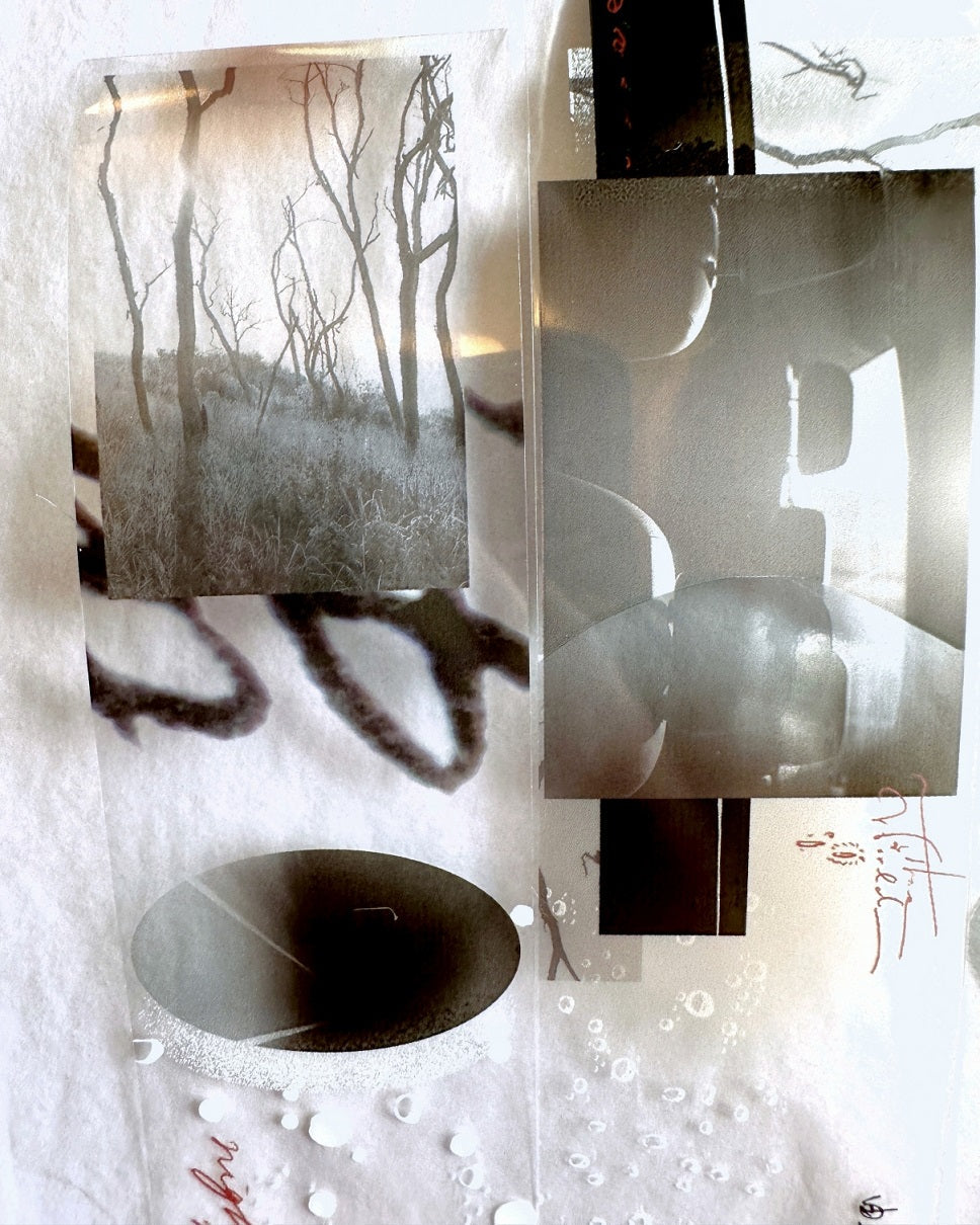 Kiyoko Studio - Boundless PET tape SAMPLES