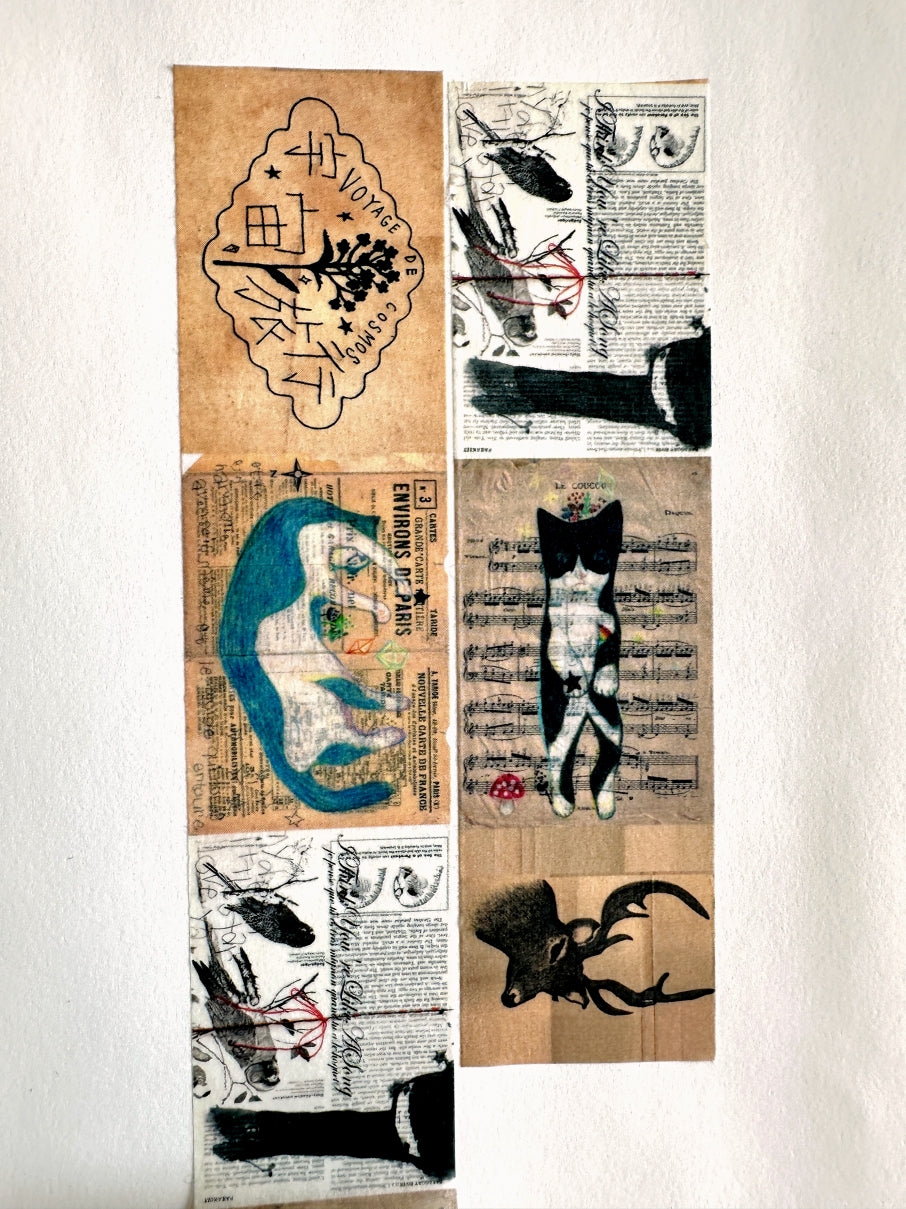 Voyage De Cosmos - No. 1 washi tape SAMPLES