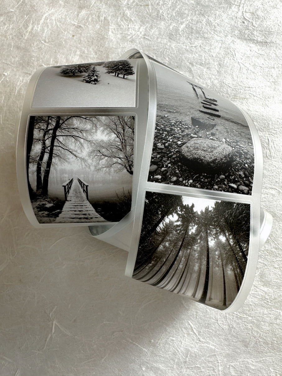 West South Studio - Focus on Loneliness kiss-cut PET tape SAMPLES