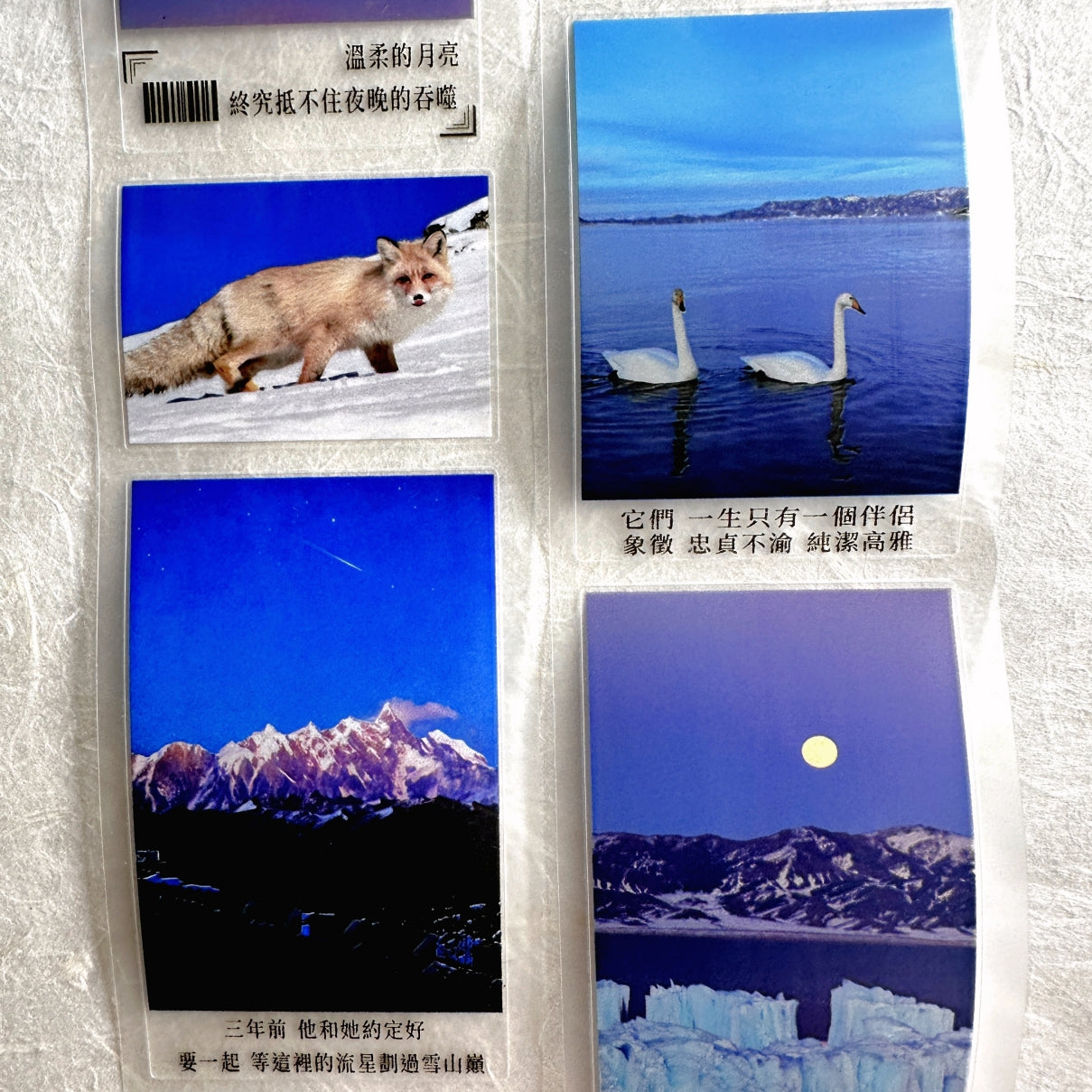 West South Studio - Blues Moment kiss-cut PET tape (5 cm x 150 cm) SAMPLES