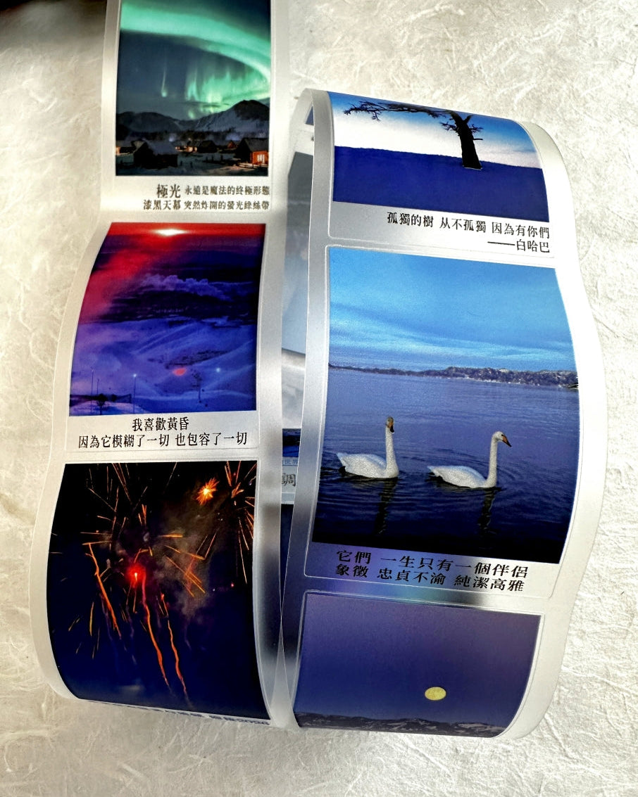 West South Studio - Blues Moment kiss-cut PET tape (5 cm x 150 cm) SAMPLES