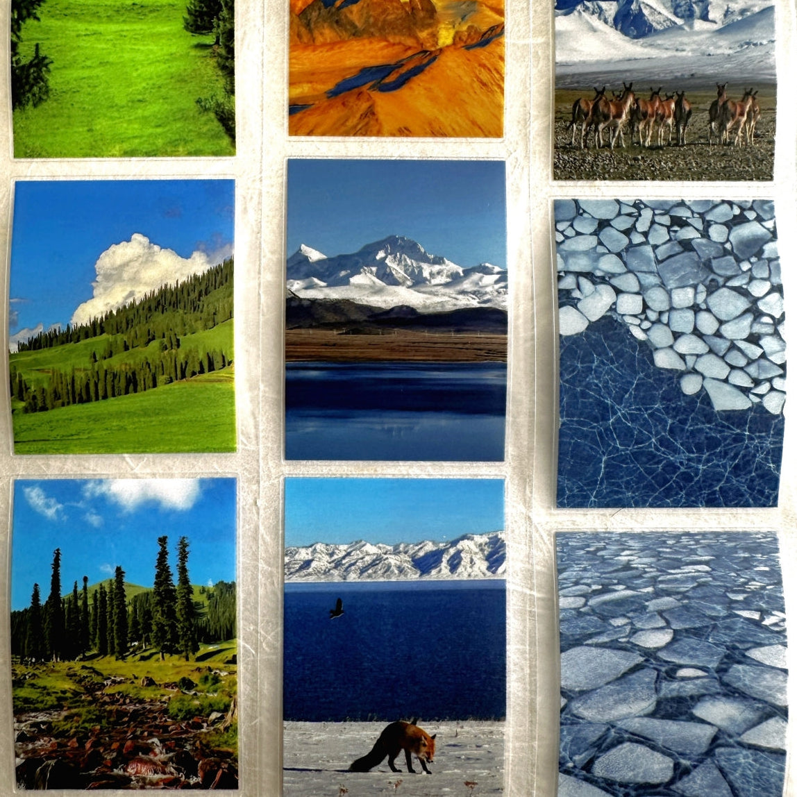 West South Studio - 318 Journey kiss-cut PET tape (5 cm x 150 cm) SAMPLES