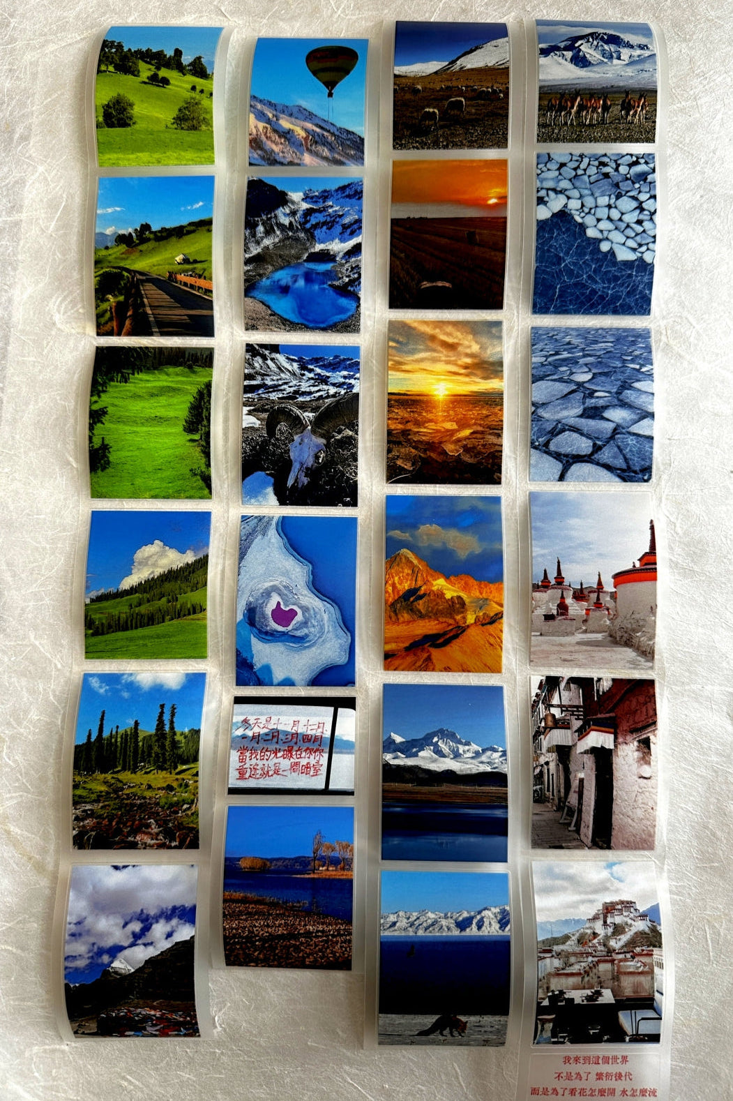 West South Studio - 318 Journey kiss-cut PET tape (5 cm x 150 cm) SAMPLES