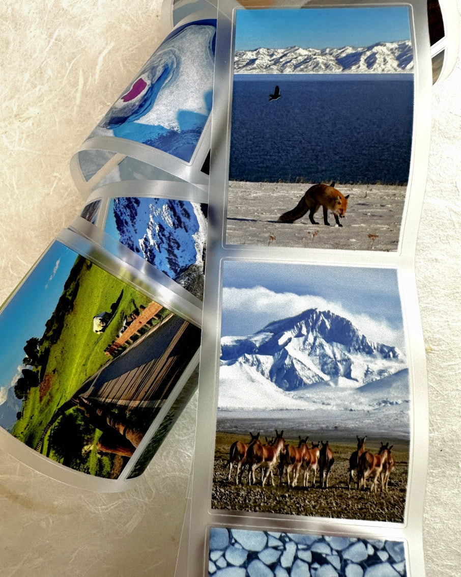 West South Studio - 318 Journey kiss-cut PET tape (5 cm x 150 cm) SAMPLES