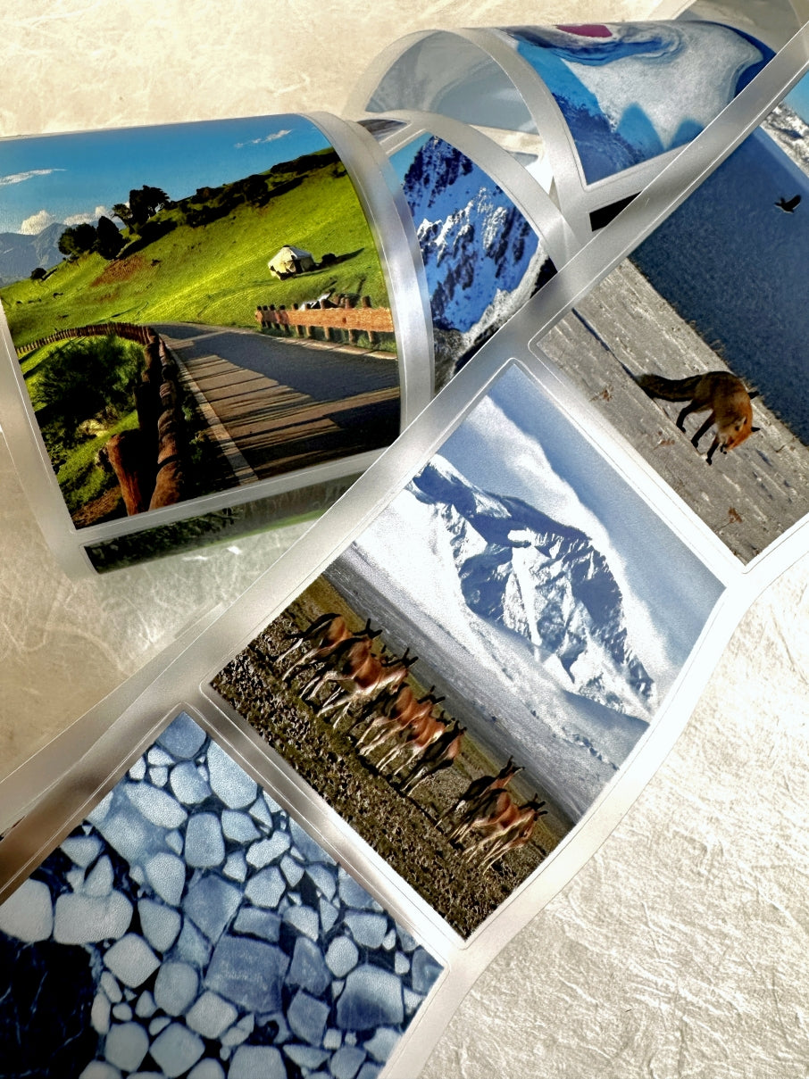 West South Studio - 318 Journey kiss-cut PET tape (5 cm x 150 cm) SAMPLES