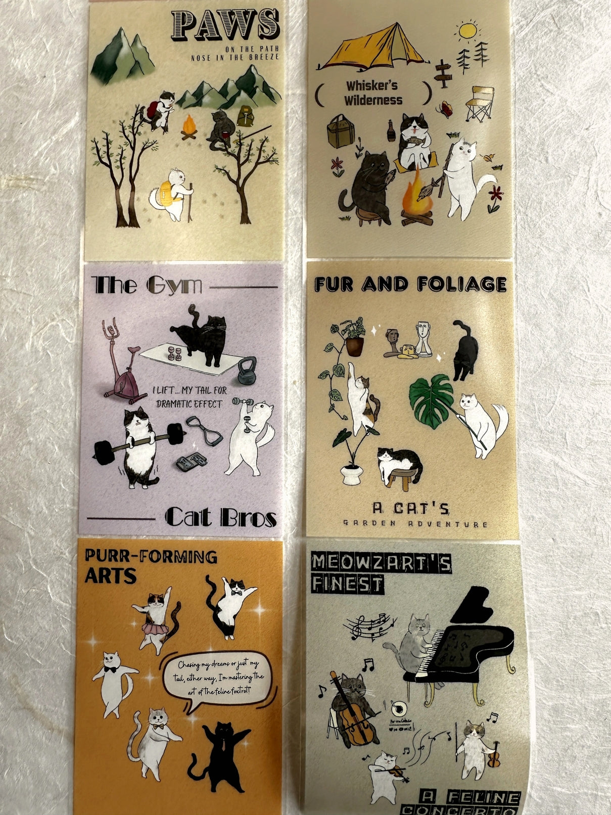 WT - Fur-st Class Glam PET tape SAMPLES