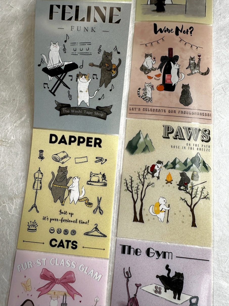 WT - Fur-st Class Glam PET tape SAMPLES