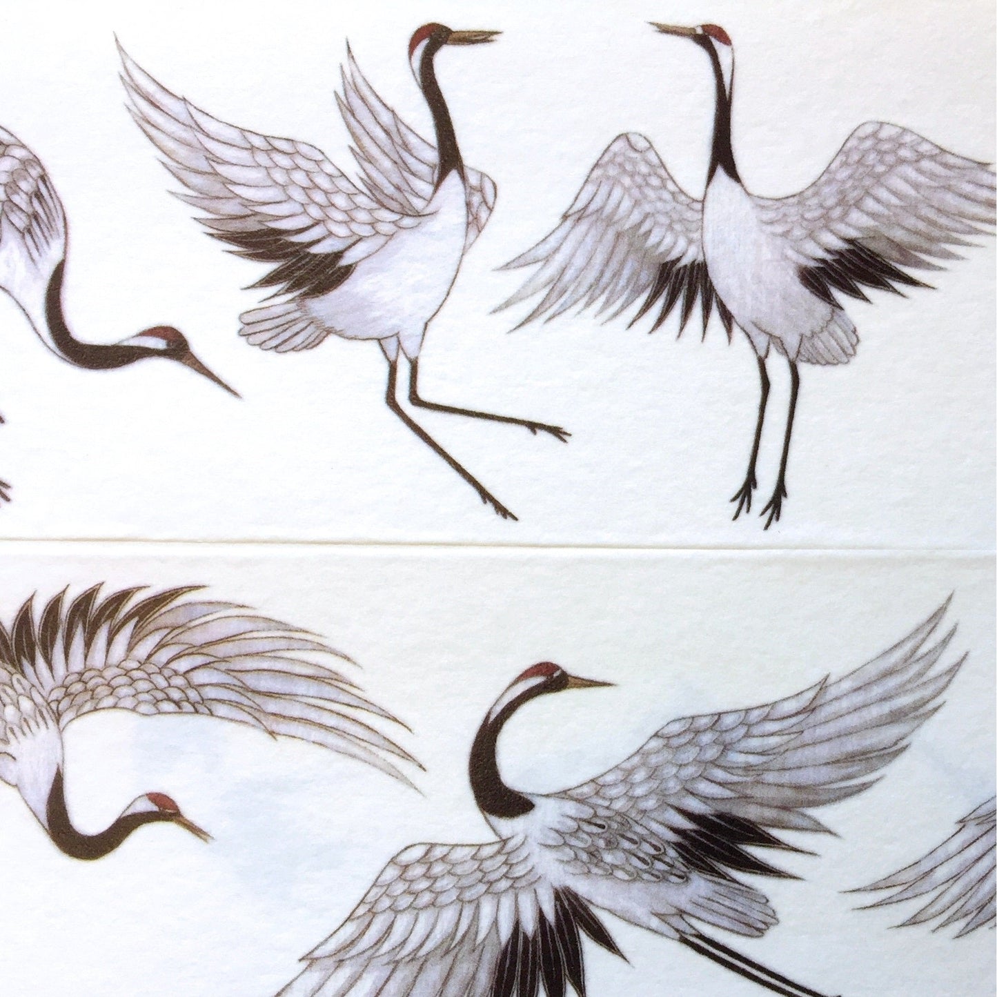 Crane washi tape (5 cm wide) SAMPLES