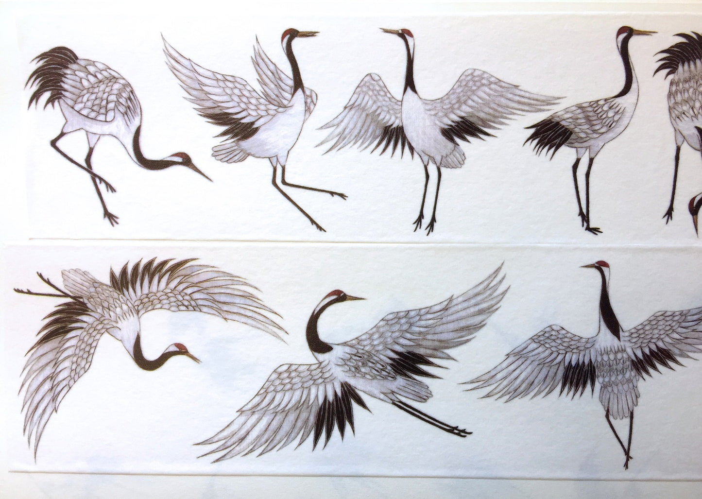 Crane washi tape (5 cm wide) SAMPLES