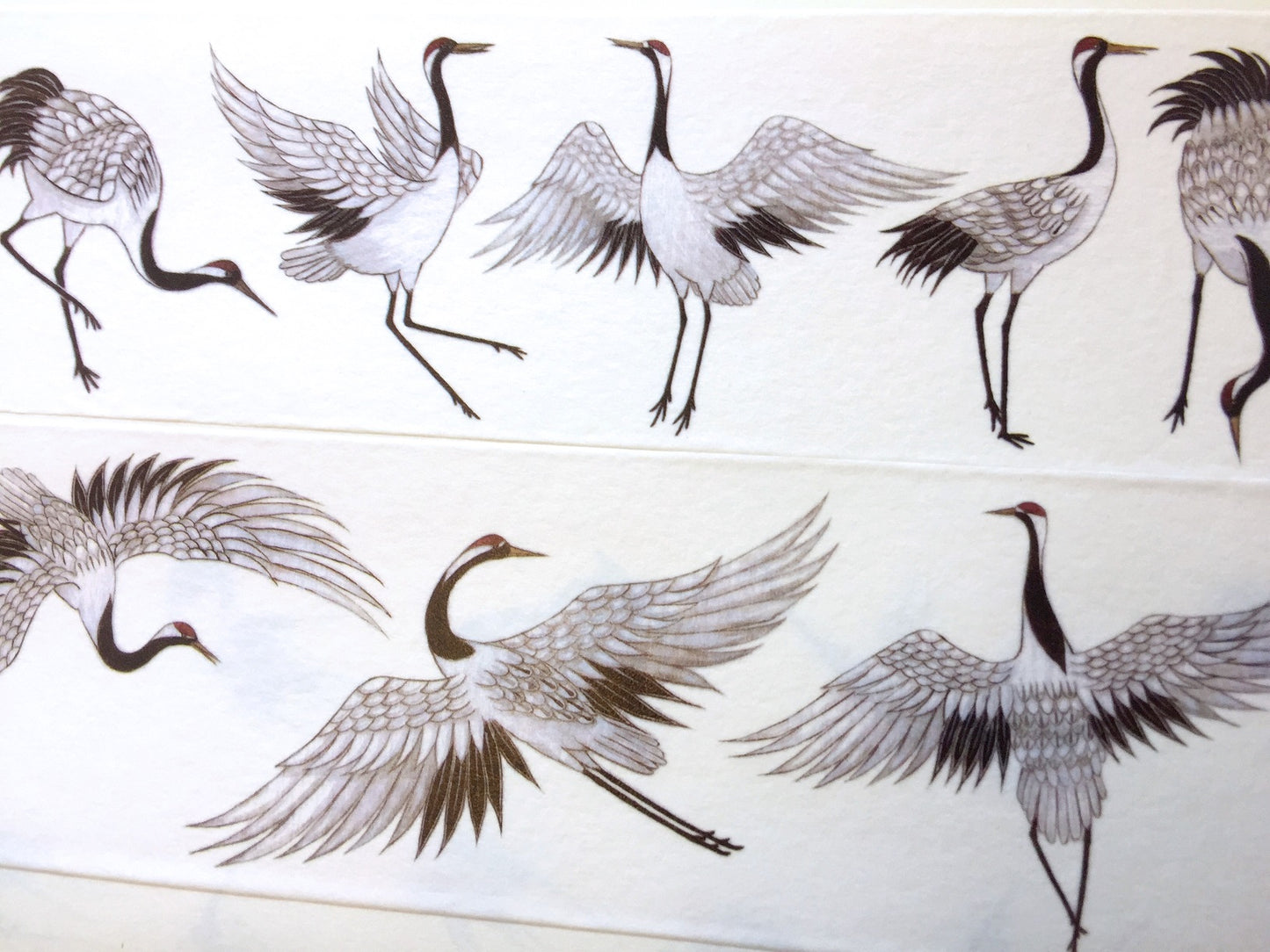 Crane washi tape (5 cm wide) SAMPLES