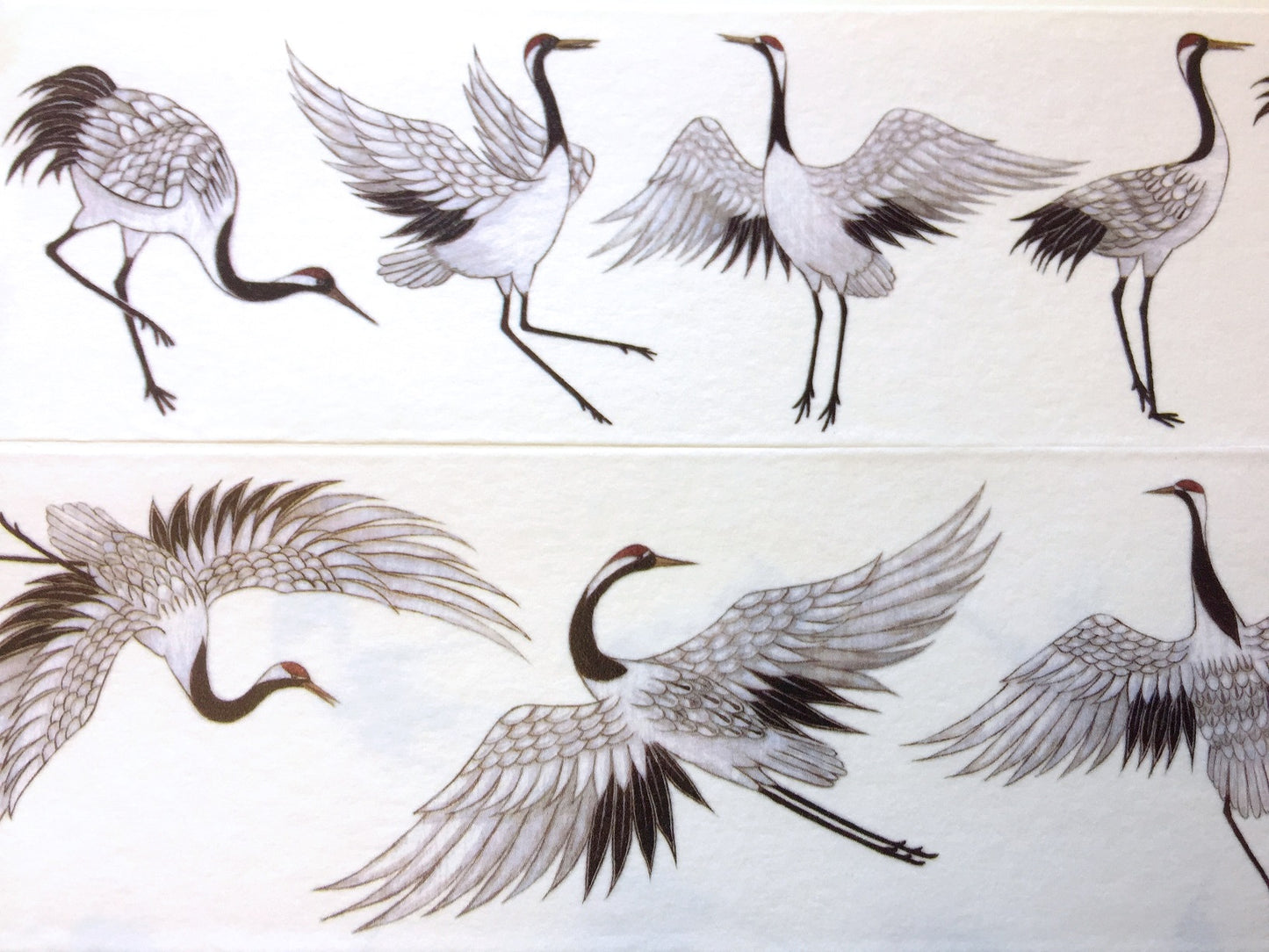 Crane washi tape (5 cm wide) SAMPLES