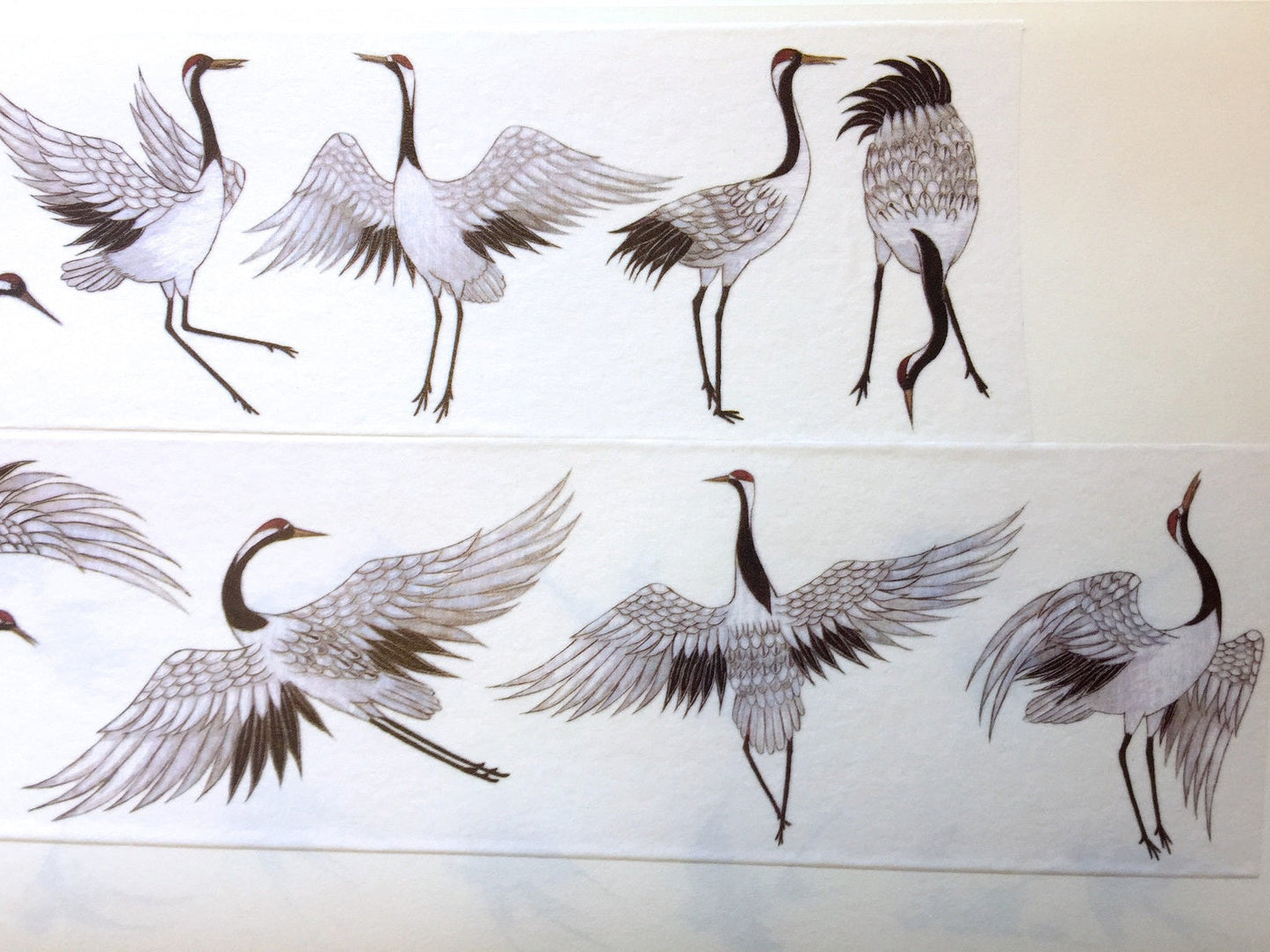 Crane washi tape (5 cm wide) SAMPLES