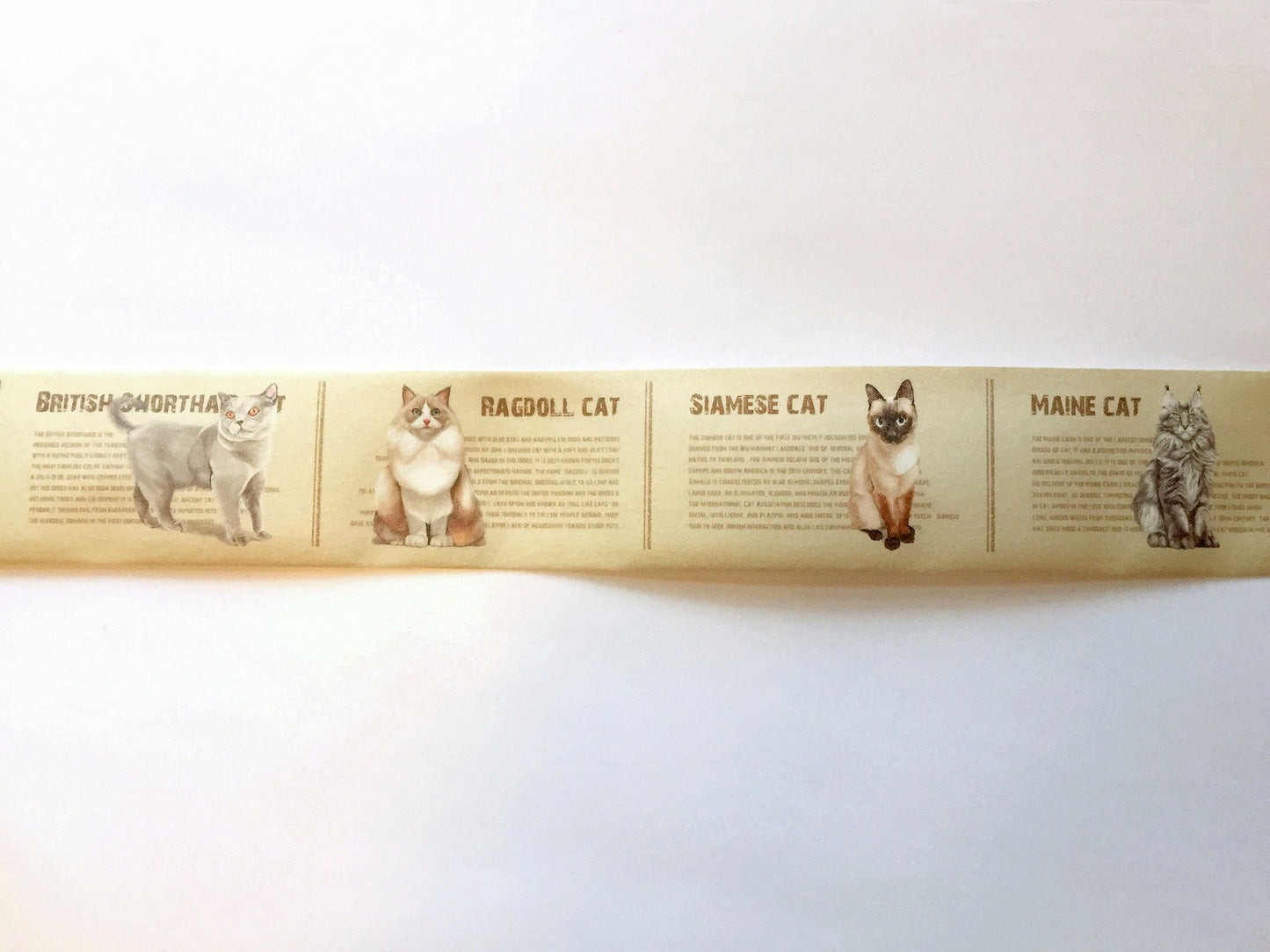 Duga - Cat Breeds washi tape 3 cm x 70 cm SAMPLES