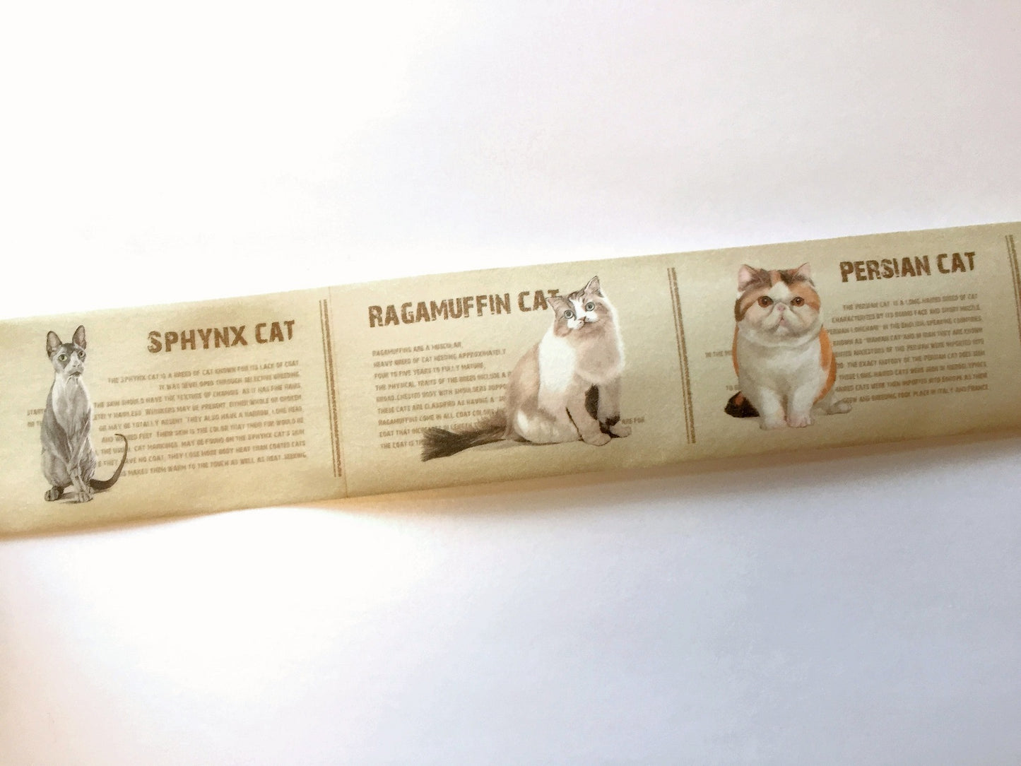 Duga - Cat Breeds washi tape 3 cm x 70 cm SAMPLES