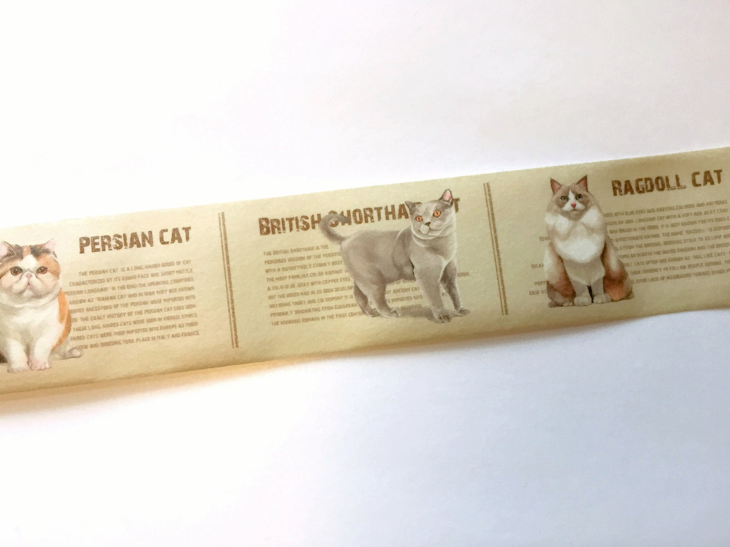 Duga - Cat Breeds washi tape 3 cm x 70 cm SAMPLES