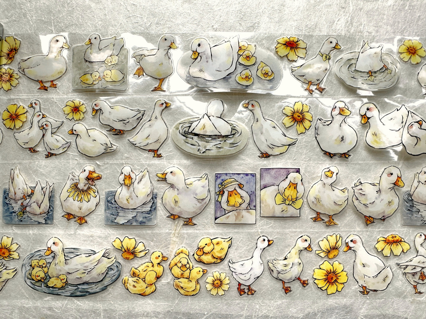 XiangXiang Studio - Duck Duck kiss-cut PET tape (4 cm x 166 cm) SAMPLES