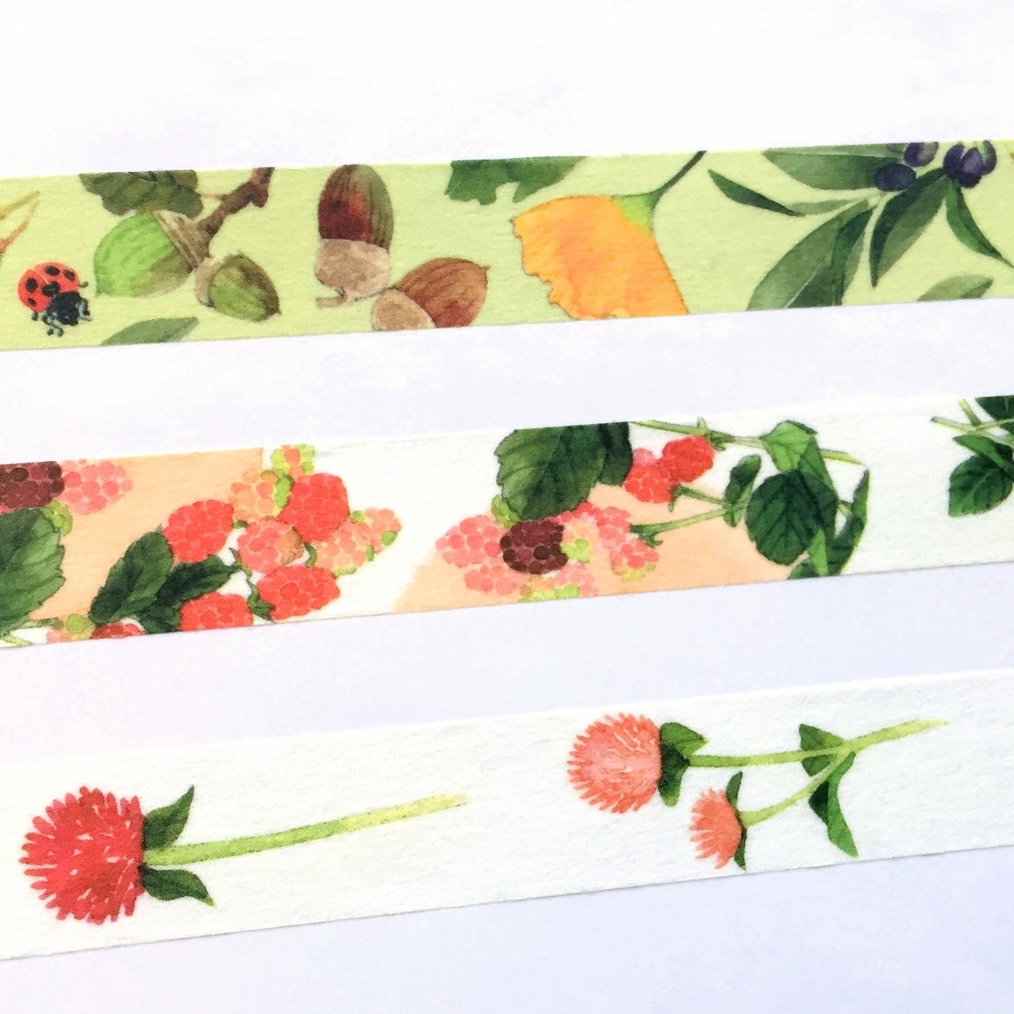 Yumi Imai - Acorn, Mulberry, and Clover botanical washi tape SAMPLES
