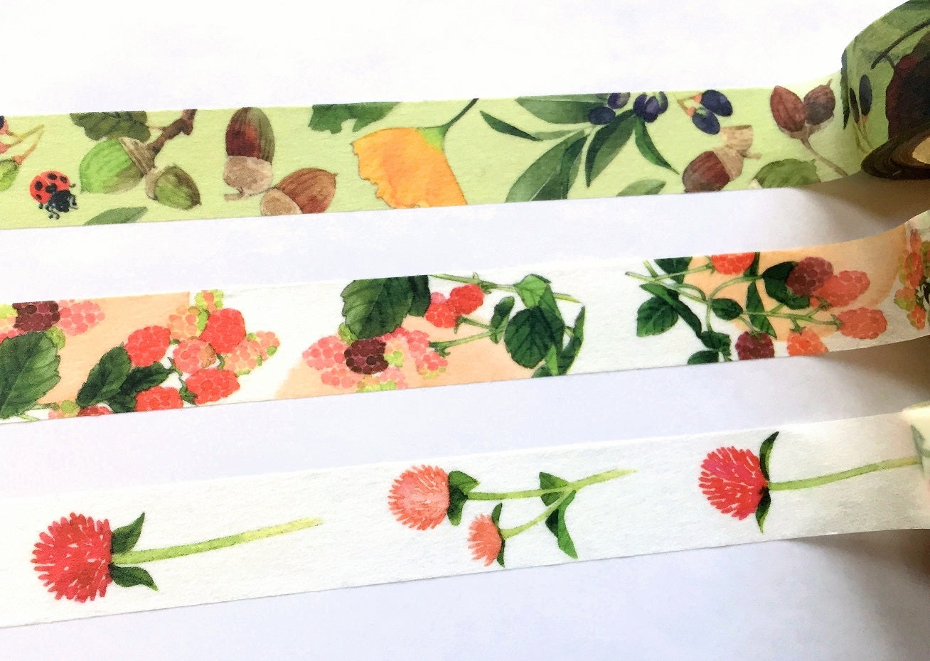 Yumi Imai - Acorn, Mulberry, and Clover botanical washi tape SAMPLES