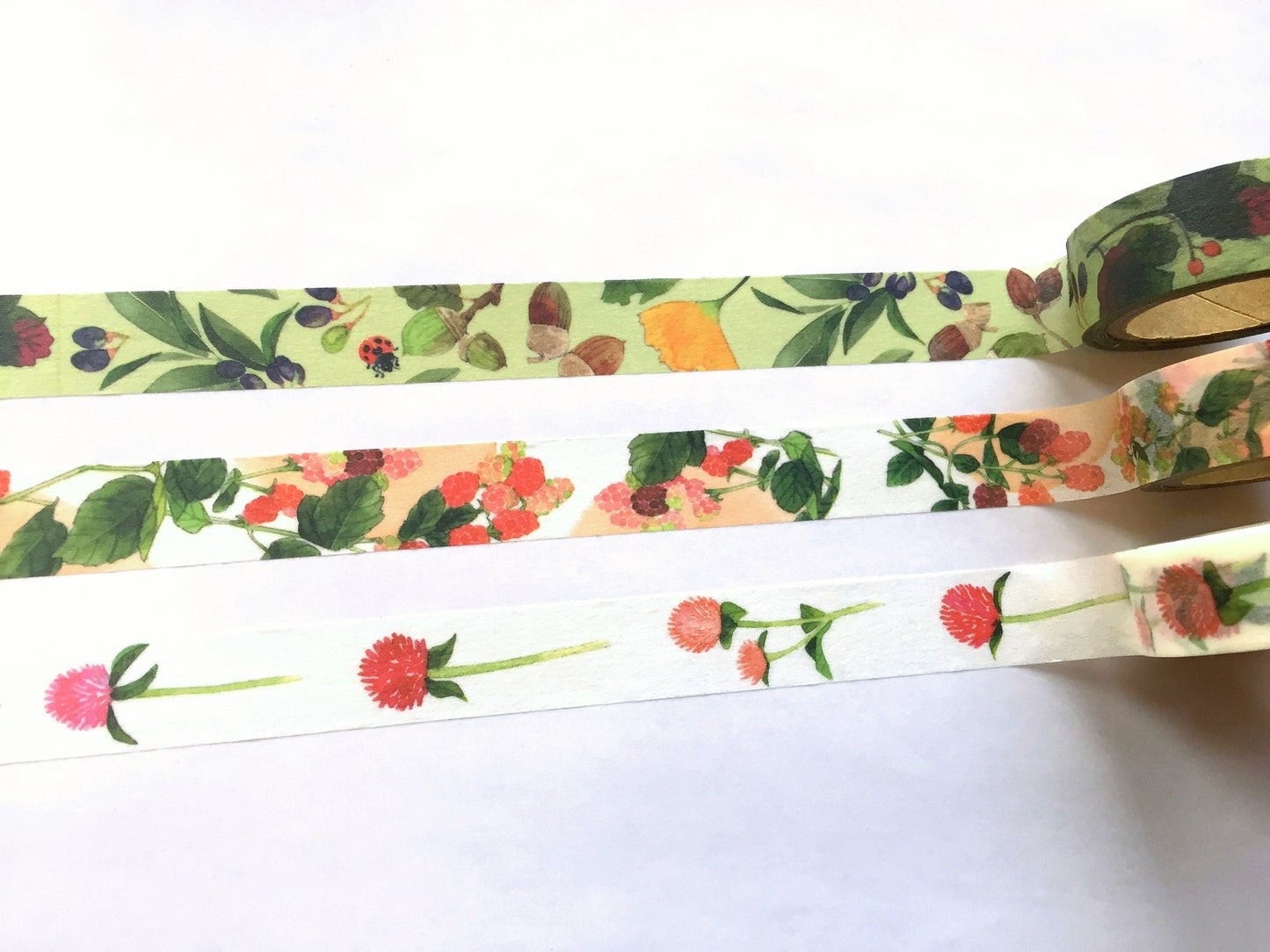 Yumi Imai - Acorn, Mulberry, and Clover botanical washi tape SAMPLES