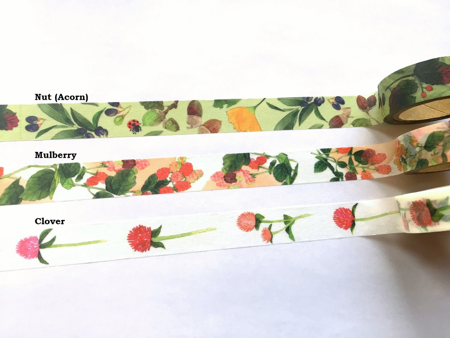 Yumi Imai - Acorn, Mulberry, and Clover botanical washi tape SAMPLES