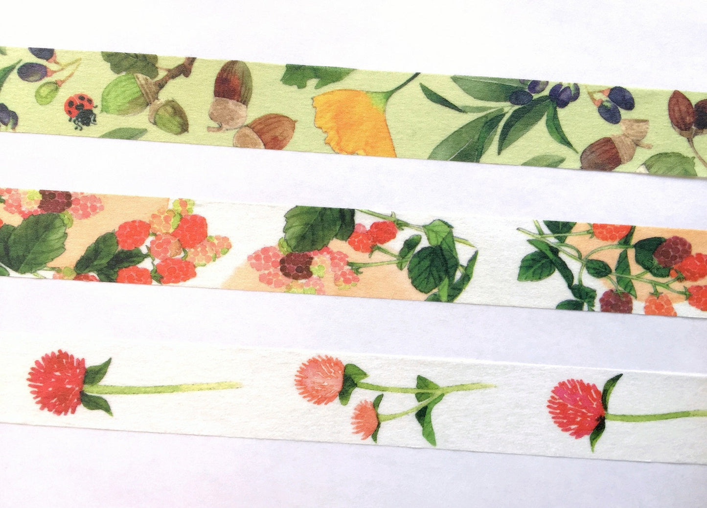 Yumi Imai - Acorn, Mulberry, and Clover botanical washi tape SAMPLES