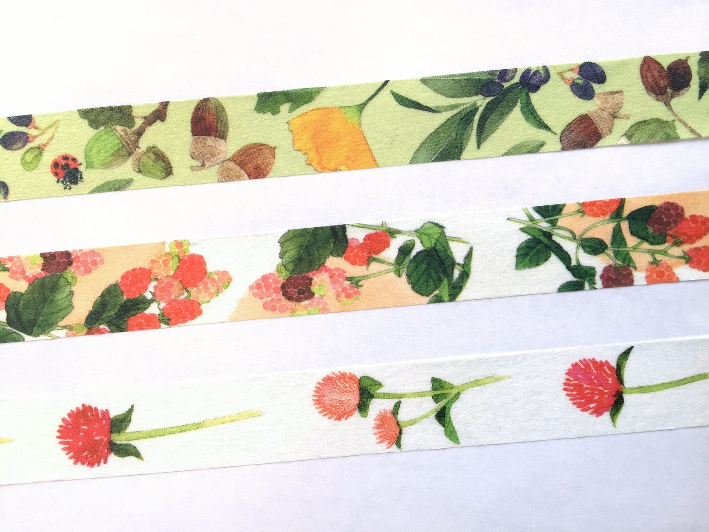 Yumi Imai - Acorn, Mulberry, and Clover botanical washi tape SAMPLES