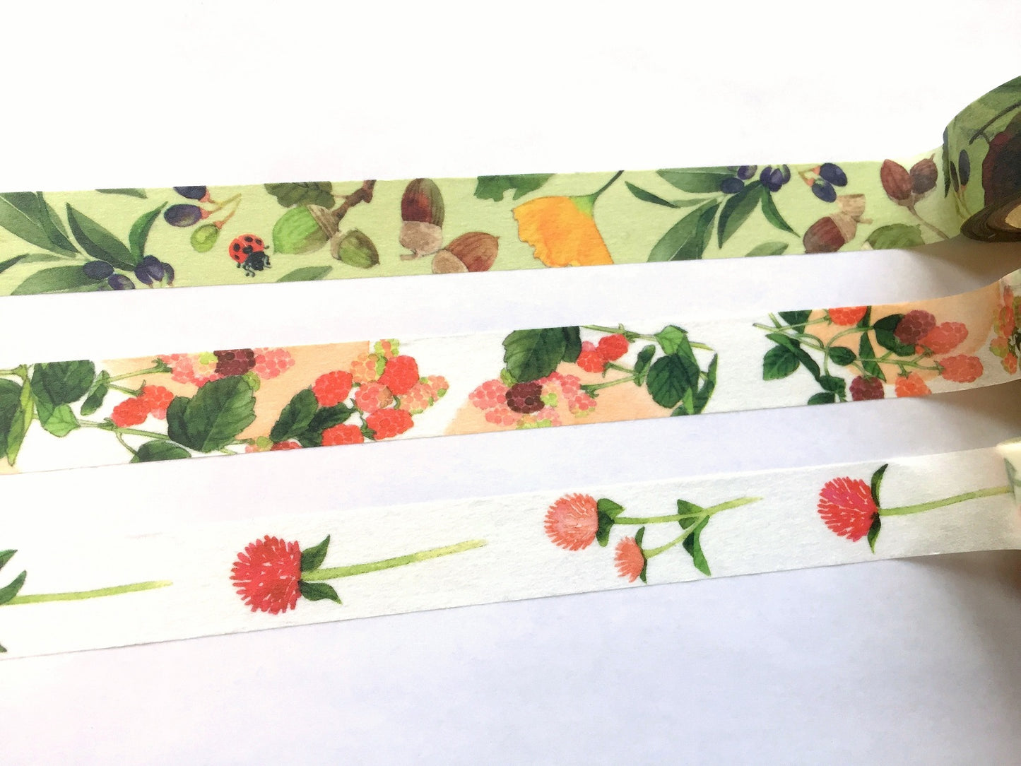 Yumi Imai - Acorn, Mulberry, and Clover botanical washi tape SAMPLES