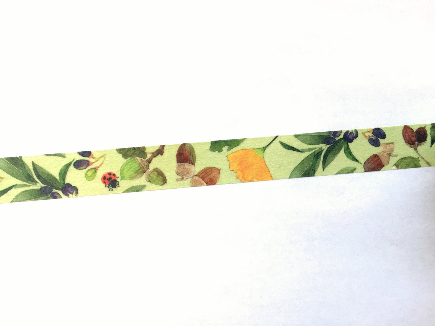 Yumi Imai - Acorn, Mulberry, and Clover botanical washi tape SAMPLES