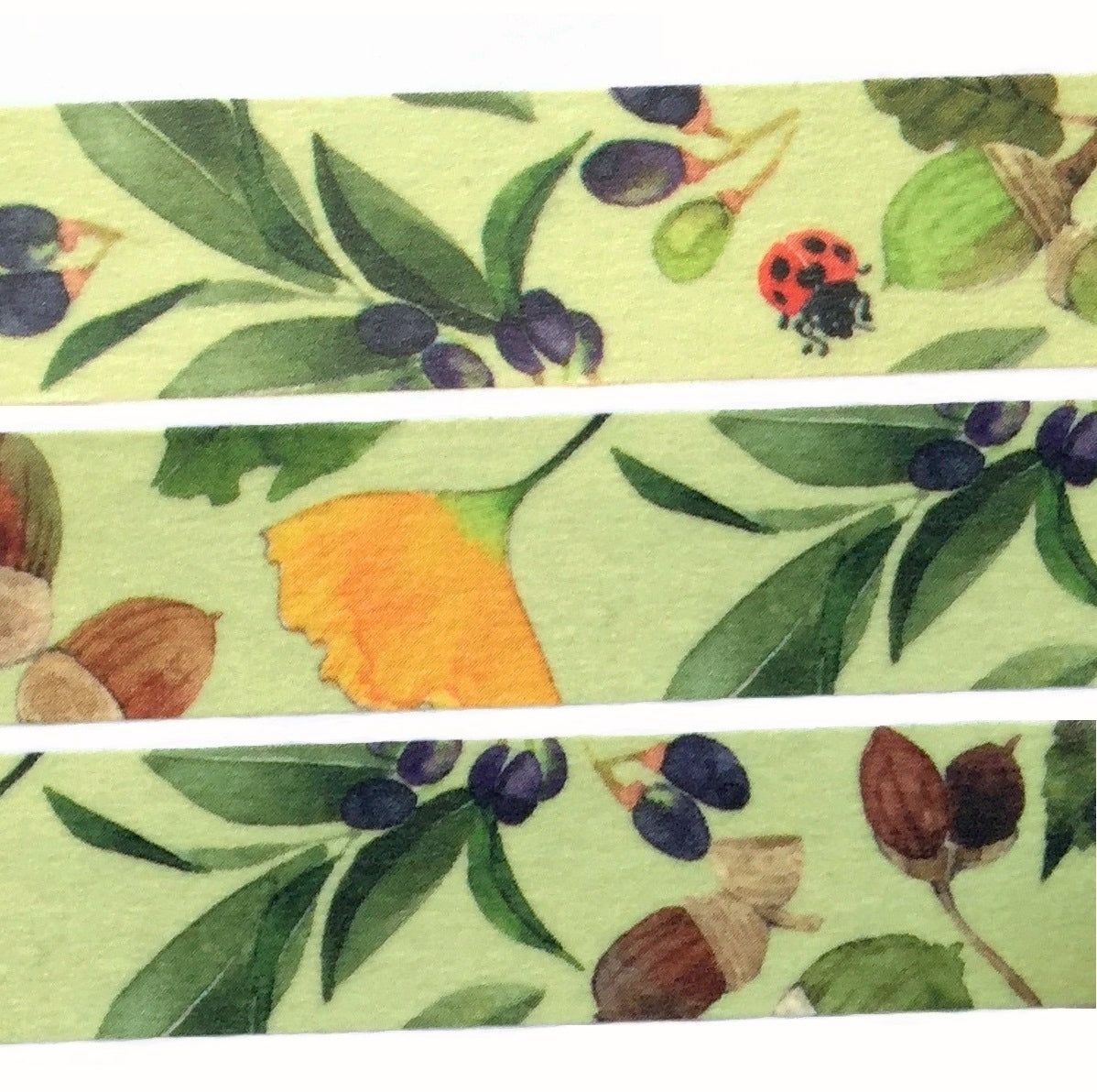Yumi Imai - Acorn, Mulberry, and Clover botanical washi tape SAMPLES