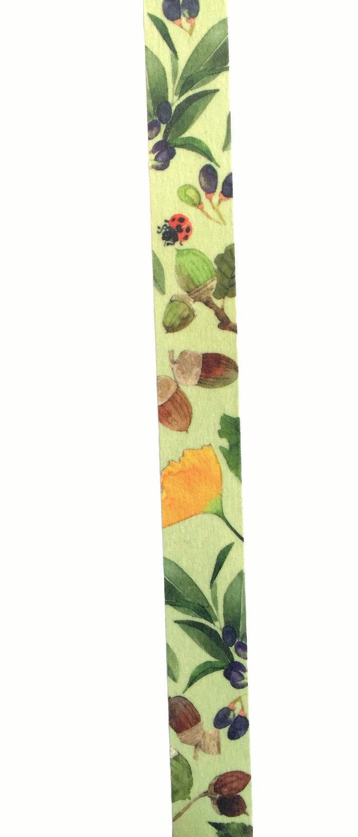 Yumi Imai - Acorn, Mulberry, and Clover botanical washi tape SAMPLES
