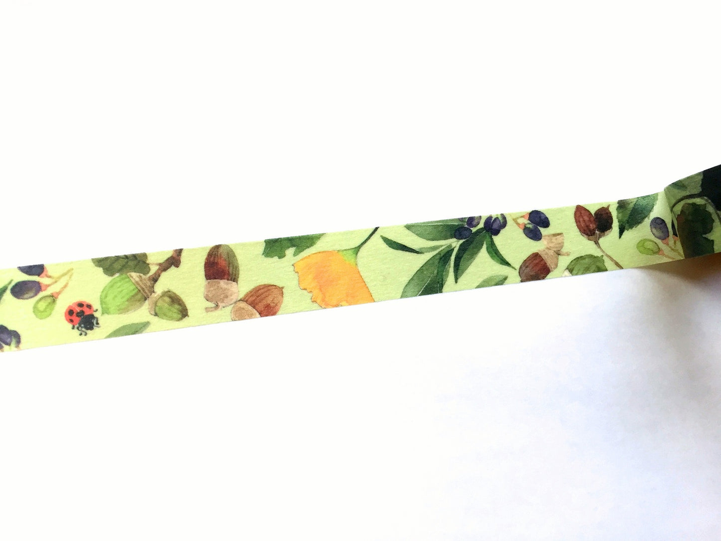 Yumi Imai - Acorn, Mulberry, and Clover botanical washi tape SAMPLES