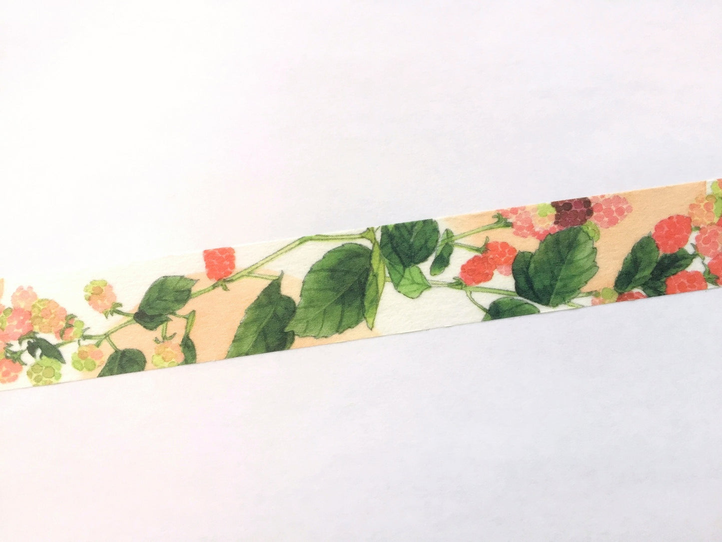 Yumi Imai - Acorn, Mulberry, and Clover botanical washi tape SAMPLES