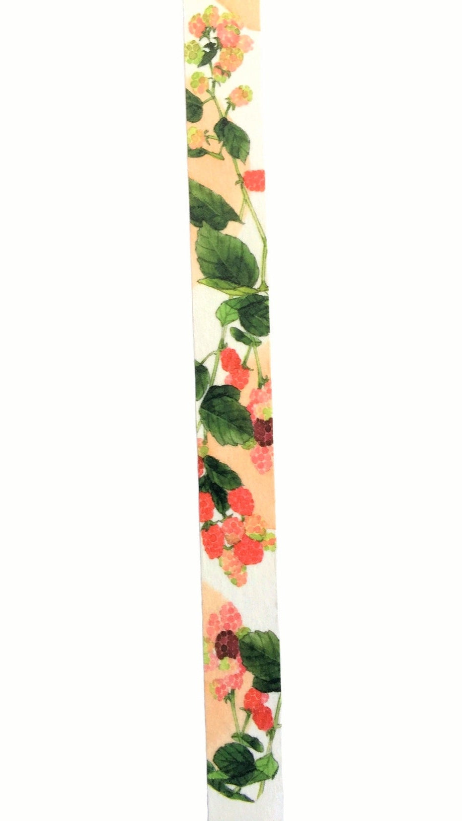 Yumi Imai - Acorn, Mulberry, and Clover botanical washi tape SAMPLES