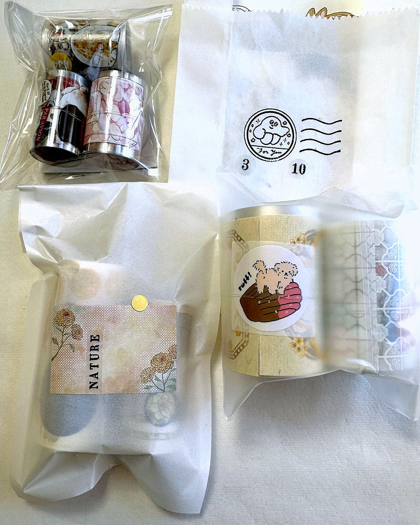 Fafa x A Great Idea - Frames autumnal kiss-cut paper tape SAMPLES