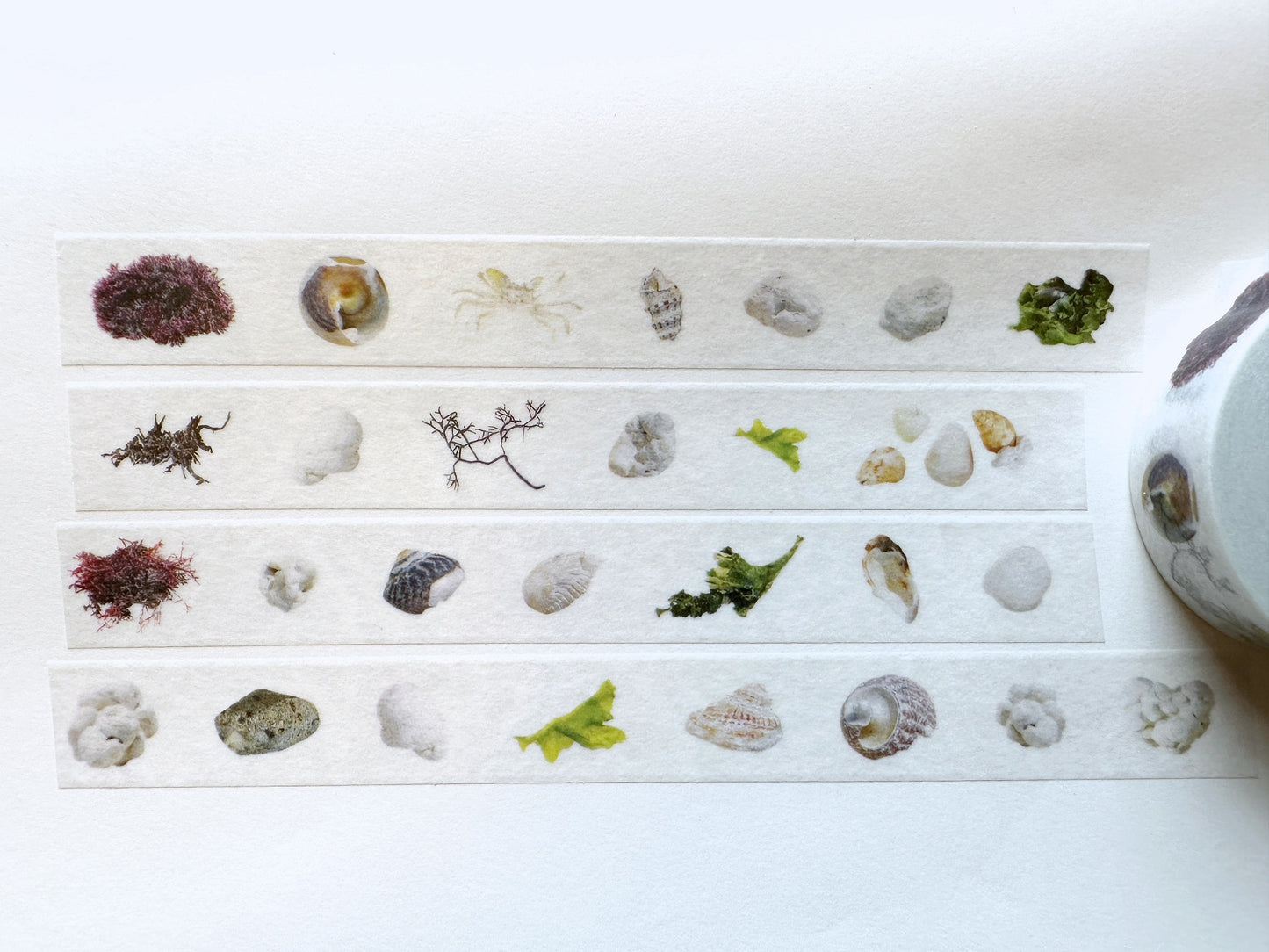 Zagne Nature Preserve - Udo beach Korean washi tape 1 meter SAMPLES