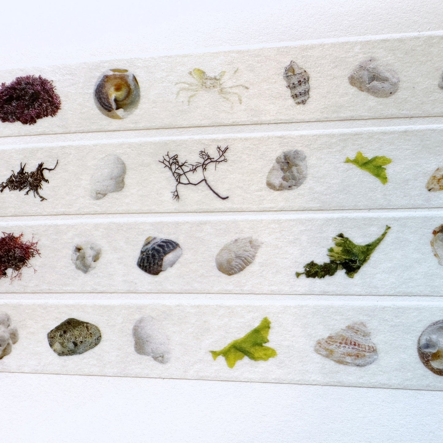 Zagne Nature Preserve - Udo beach Korean washi tape 1 meter SAMPLES