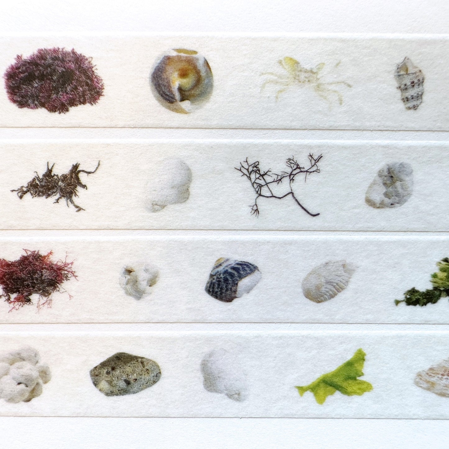 Zagne Nature Preserve - Udo beach Korean washi tape 1 meter SAMPLES