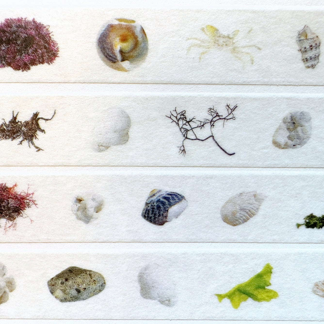 Zagne Nature Preserve - Udo beach Korean washi tape 1 meter SAMPLES